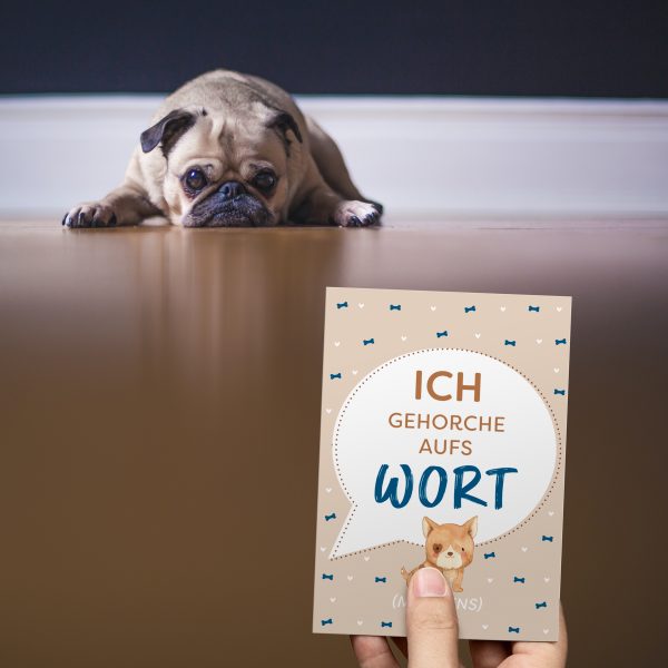 Meilensteinkarten für Hunde & Hundebesitzer – Bild 9